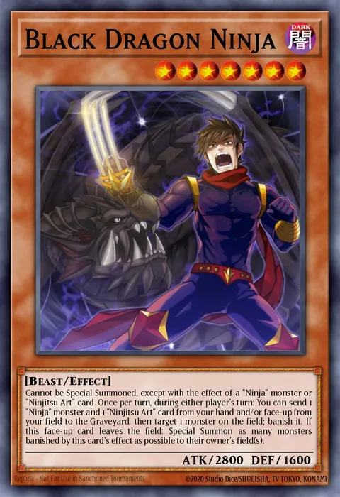 Black Dragon Ninja