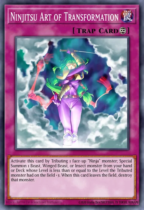 Ninjitsu Art of Transformation