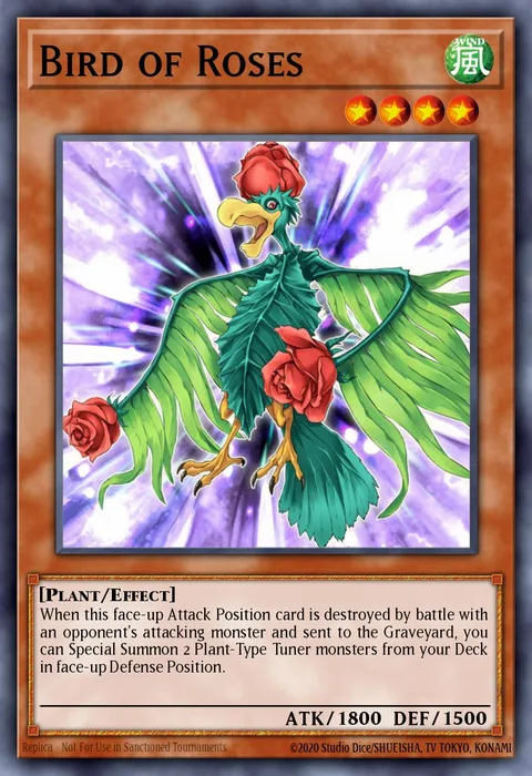 Bird of Roses