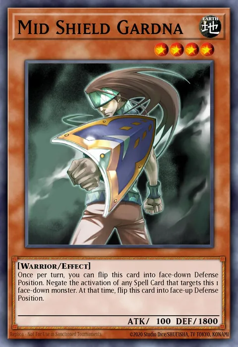 Mid Shield Gardna