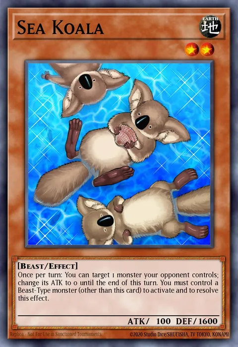 Sea Koala